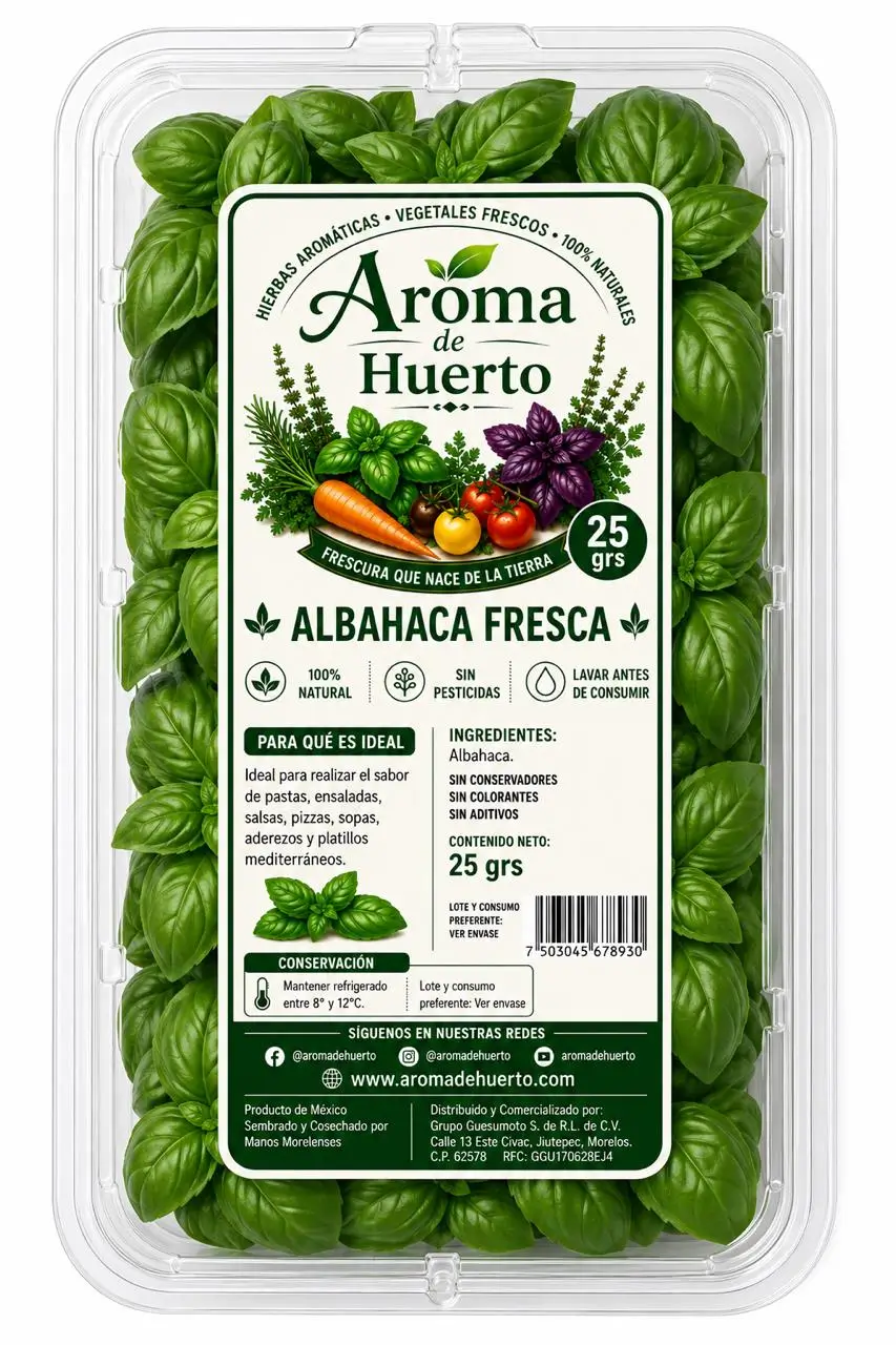 Albahaca Fresca Aroma de Huerto