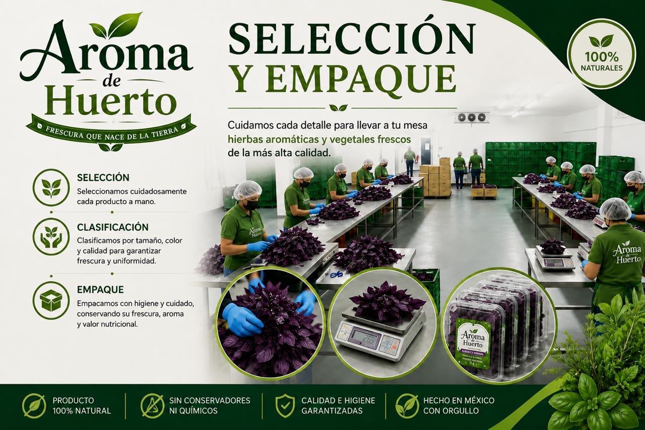 Proceso de empaque Aroma de Huerto